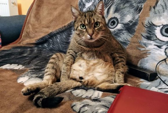 Ctiradek von Bahnhof