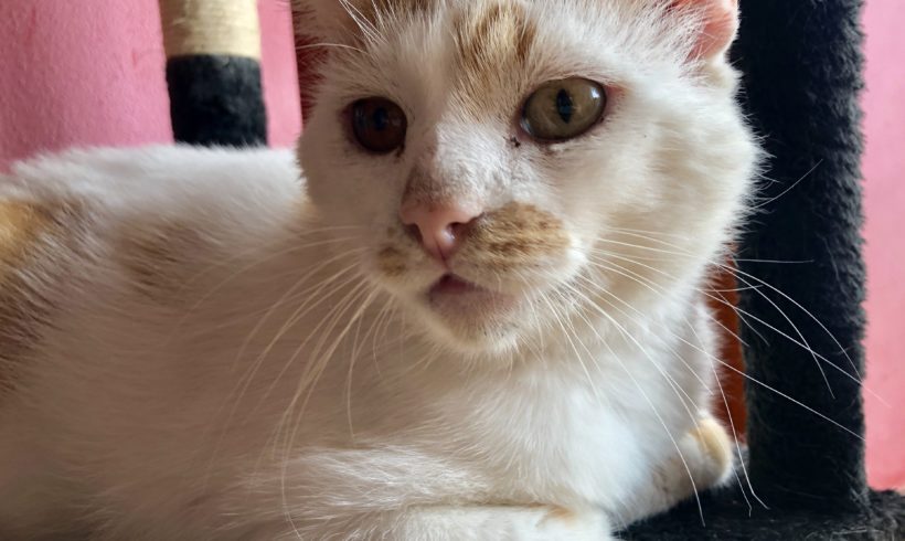 Sonny