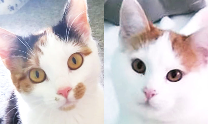 Lili a Max