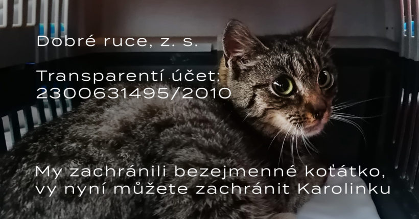 Charitativní sbírka „Karoline“