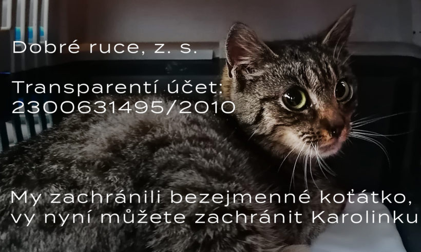 Charitativní sbírka „Karoline“