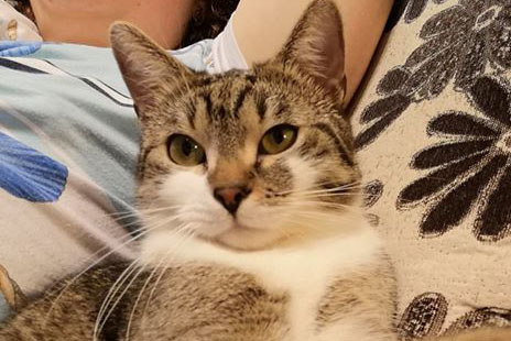 M’aiqa the Climber (Macek)