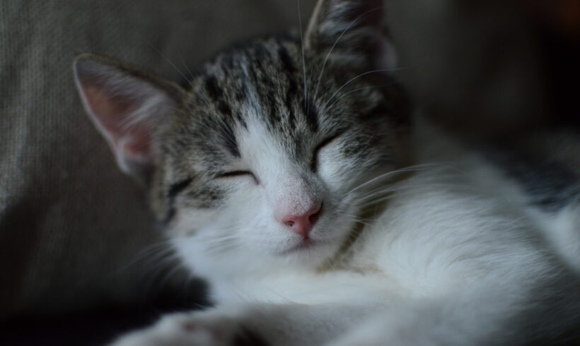 Milinka