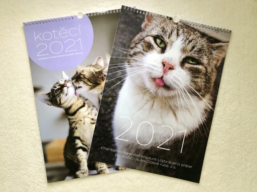 Charitativní útulkové kalendáře na rok 2021