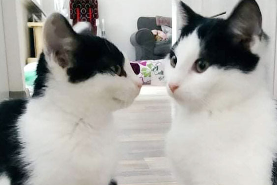 Viktorka a Lojzička