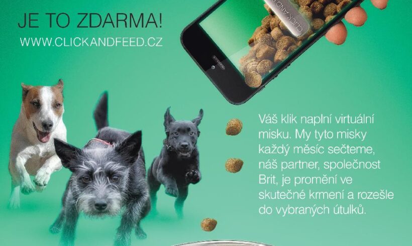 Click and Feed