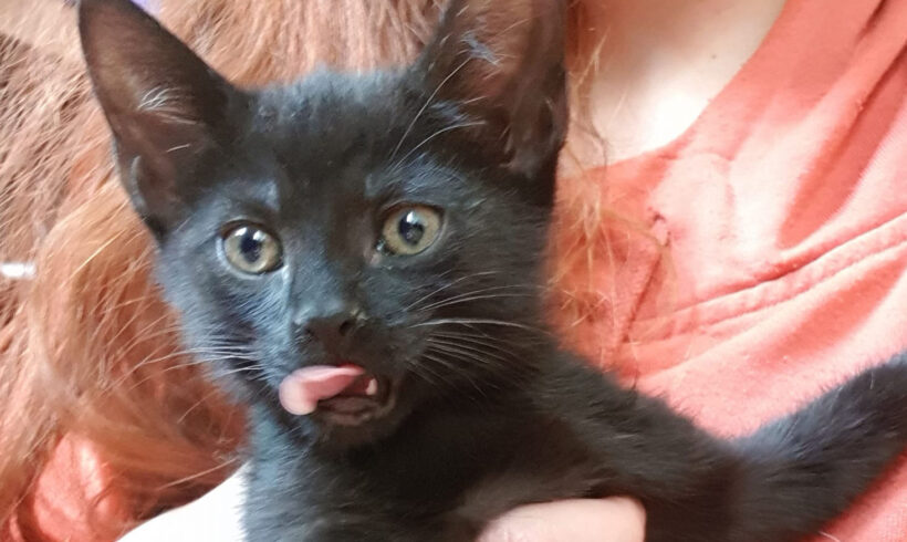 Pete